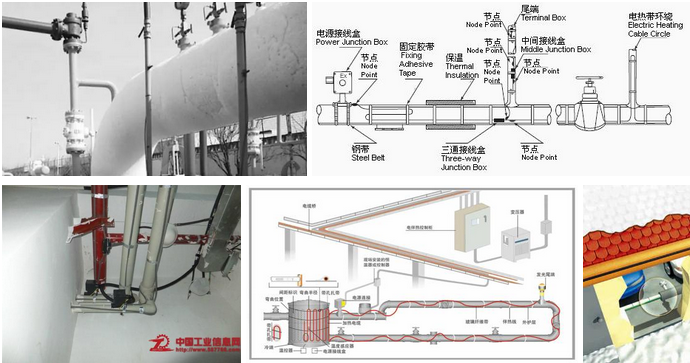 管道草莓视频在线免费下载