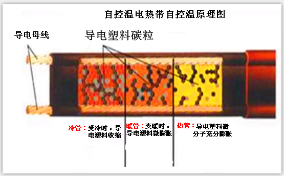 自控温草莓视频在线免费下载原理